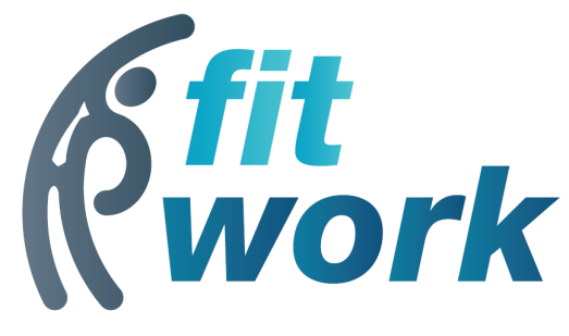 Komag Fitwork Good Practices To Develop Physical Activity Programs